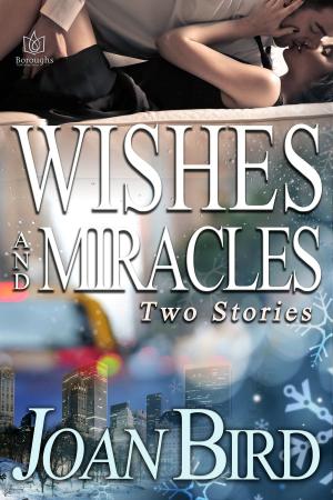 Cover of the book Wishes and Miracles by Katee Robert