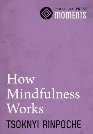 Cover of the book How Mindfulness Works by Thich Nhat Hanh