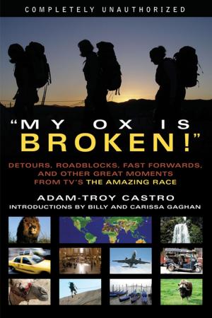 Cover of the book My Ox Is Broken! by David Gerrold