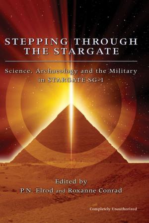 Cover of the book Stepping Through The Stargate by Jeffrey Kosh