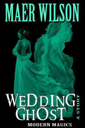 Cover of the book Wedding Ghost by Maggie Christensen
