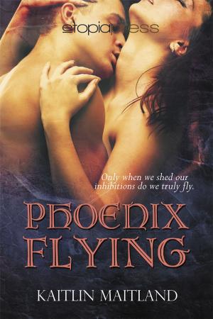 Cover of the book Phoenix Flying by Rhonda Laurel