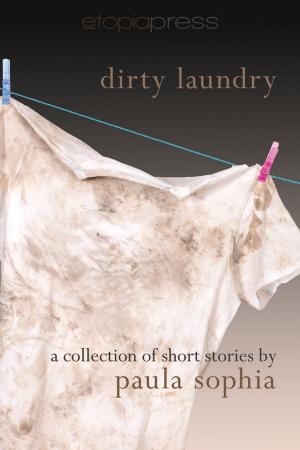 Cover of the book Dirty Laundry by Lee Edward McIlmoyle