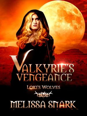 Book cover of Valkyrie's Vengeance