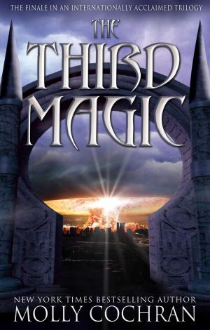 Cover of the book The Third Magic by Sean Brandon, Sexy Virgin