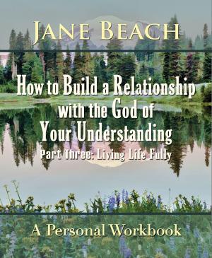 Cover of the book How to Build a Relationship with the God of Your Understanding: Part Three Living Life Fully by David J. Abbott M.D.
