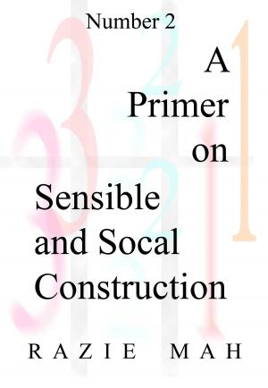 Cover of the book A Primer on Sensible and Social Construction by Razie Mah