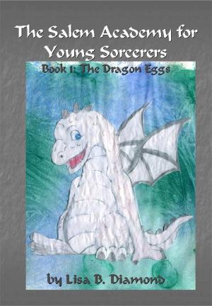 Cover of The Salem Academy for Young Sorcerers, Book 1: The Dragon Eggs