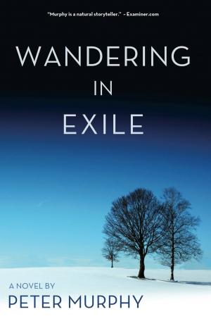 Book cover of Wandering in Exile