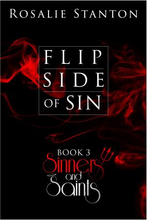 Cover of the book Flip Side of Sin by Mindy Klasky