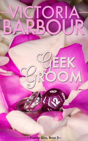 Cover of the book Geek Groom by Lucinda Race