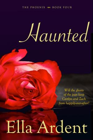 Cover of the book Haunted by AA. VV.
