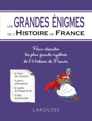 Cover of the book Les Grandes énigmes de l'Histoire de France by Rudyard Kipling