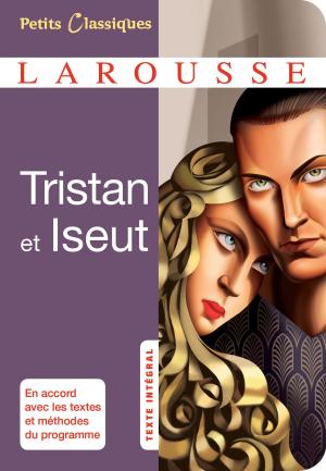 Cover of the book Tristan et Iseut by Noémie Strouk