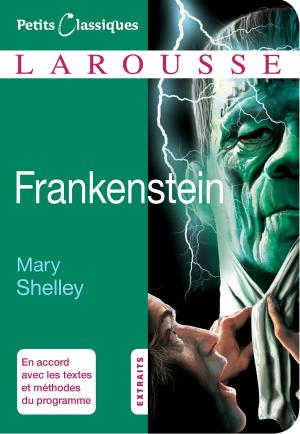 Cover of the book Frankenstein by Anaïs Galon, Christine Nougarolles, Julie Rinaldi
