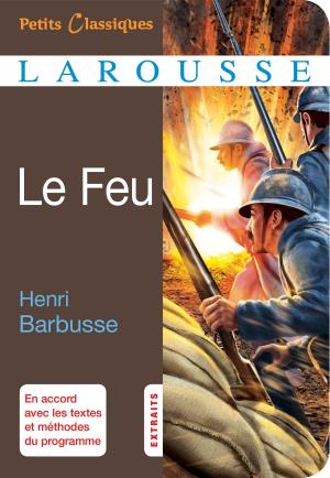 Cover of the book Le Feu by Didier Daeninckx