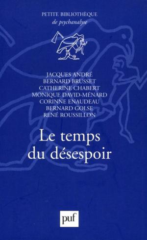 Cover of the book Le temps du désespoir by Thomas Hersh