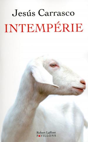 Cover of the book Intempérie by Iain M. BANKS