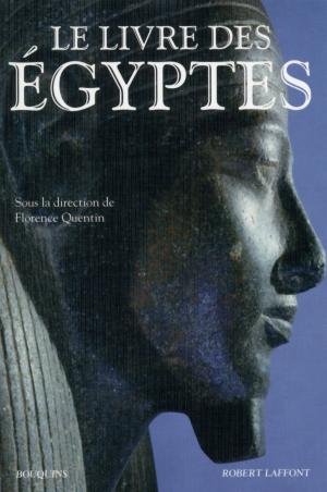 Cover of the book Le Livre des Égyptes by Robert J. SAWYER