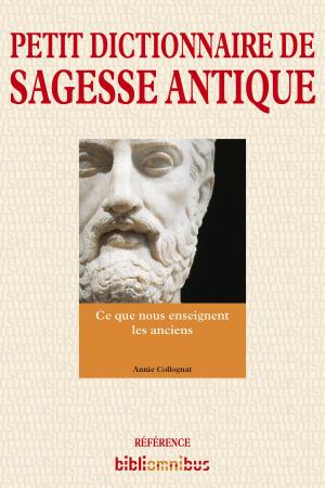 Book cover of Petit dictionnaire de sagesse antique