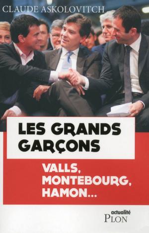 Cover of the book Les grands garçons by Gilbert BORDES