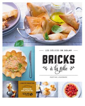 Cover of the book Bricks à la folie - Les délices de Solar by Carole NITSCHE, Dr Arnaud COCAUL