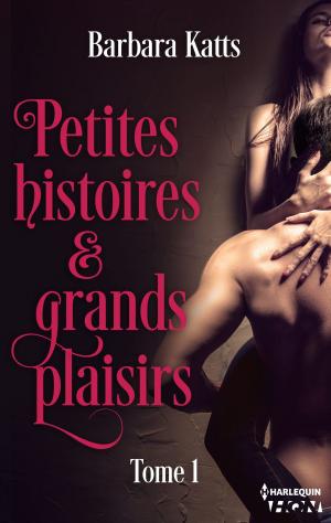 Book cover of Petites histoires et grands plaisirs - tome 1