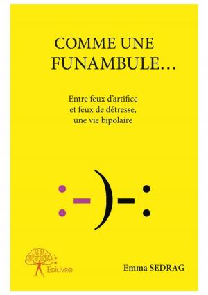 Cover of the book Comme une funambule... by Sébastien Camus