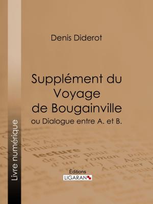 Cover of the book Supplément du Voyage de Bougainville by Georges Rodenbach, Ligaran
