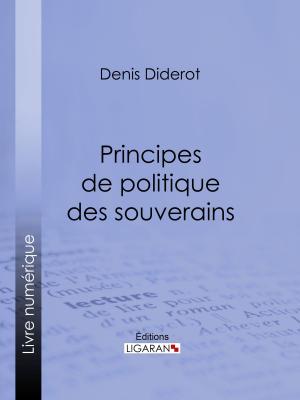 Cover of the book Principes de politique des souverains by Honoré de Balzac, Ligaran