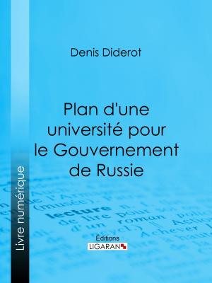 Book cover of Plan d'une université pour le Gouvernement de Russie