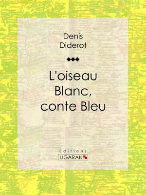 Book cover of L'Oiseau blanc, conte bleu
