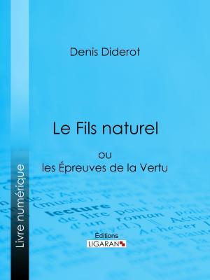 Cover of the book Le Fils naturel by Pierre Trimouillat, Ligaran