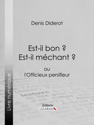 Cover of the book Est-il bon ? Est-il méchant ? by Édouard d'Anglemont, Ligaran