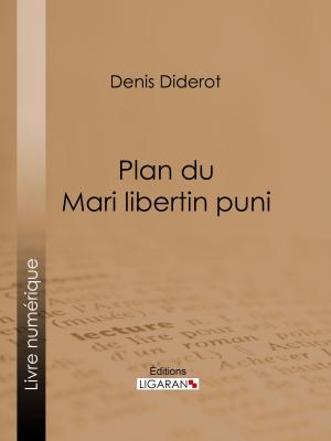 Book cover of Plan du Mari libertin puni