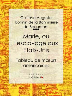 Cover of the book Marie, ou l'esclavage aux Etats-Unis by Charles Hirschauer, Ligaran