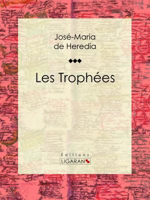 Cover of the book Les Trophées by Edme François Jomard, Ligaran