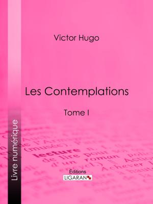 Cover of the book Les Contemplations by Michelle Tea