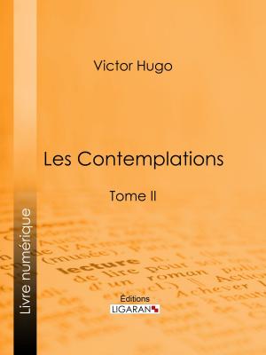 Cover of the book Les Contemplations by Gilbert Montain, Ligaran