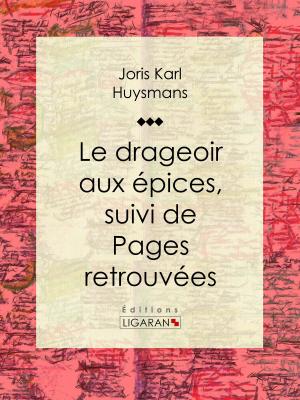Cover of the book Le Drageoir aux épices by Jacques Arago, Ligaran