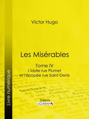 Cover of the book Les Misérables by Noël Amaudru, Ligaran
