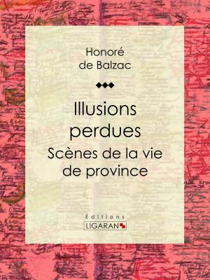 Cover of the book Illusions perdues by C. Rousseau
