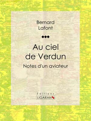 Cover of the book Au ciel de Verdun by Louis Noir, Ligaran
