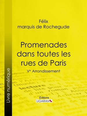 Cover of the book Promenades dans toutes les rues de Paris by Denis Diderot, Ligaran