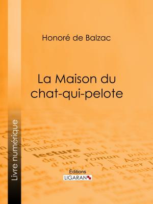 Cover of the book La Maison du chat-qui-pelote by Molière, Ligaran