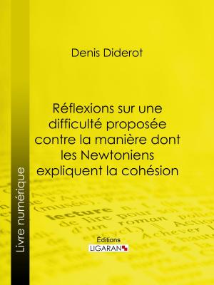 Cover of the book Réflexions sur une difficulté proposée contre la manière dont les Newtoniens expliquent la cohésion by Félix Bracquemond, Ligaran