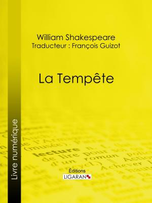 Cover of the book La Tempête by Guy de Maupassant, Ligaran