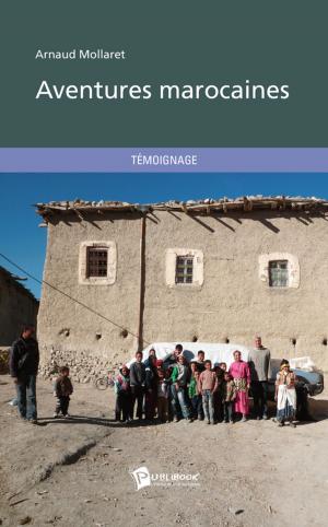 Cover of the book Aventures marocaines by Revue Dirigée Par Le Centre D’Études Sur Les Jeunes Et Les Médias