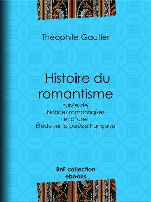 Cover of the book Histoire du romantisme by Rodolphe de Maistre, Joseph de Maistre