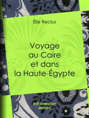 Cover of the book Voyage au Caire et dans la Haute-Égypte by Adolphe-Basile Routhier